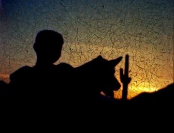 Visuel - Journal d'Amérique - Silhouette
